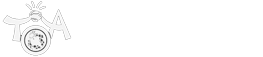 T. OTANI & ASSOCIATES INTERNATIONAL RELATIONS